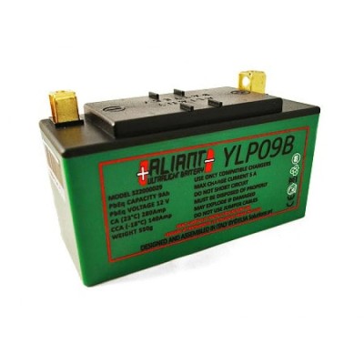 ALIANT YLP09B LITHIUM ION MOTORCYCLE BATTERY image