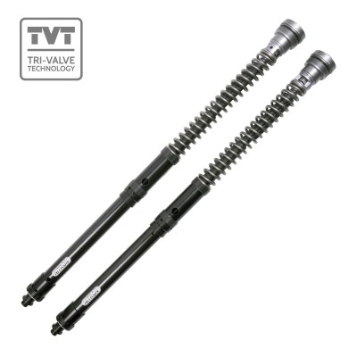 NITRON TVT22 22MM CARTRIDGE KIT HONDA CRF300L RALLY 21-25 *LOW VERSION* image