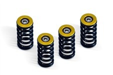 BARNETT CLUTCH SPRING KIT - GOLD CUPS - ALL 6 SPEED DRY CLUTCH - DUCATI MODELS image
