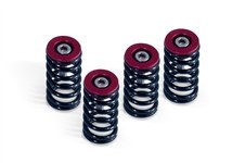 BARNETT CLUTCH SPRING KIT - RED CUPS - ALL 6 SPEED DRY CLUTCH - DUCATI MODELS image