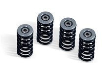 BARNETT CLUTCH SPRING KIT - CLEAR CUPS - ALL 6 SPEED DRY CLUTCH - DUCATI MODELS image